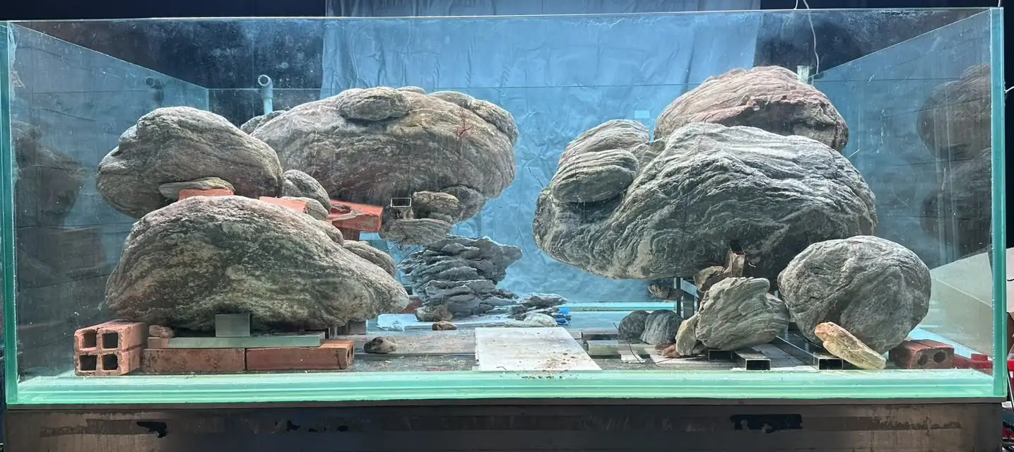 Aquascaping steps - Connecting - IAPLC 2025 Honor Prize - Long Tran Hoang / Vietnam